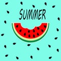 Watermelon pattern illustration vector summer fruit natural vegan fruit Royalty Free Stock Photo