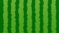 Watermelon pattern texture stripe vector background. Summer watermelon cartoon background.