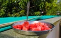 Watermelon pieces in the plate Royalty Free Stock Photo