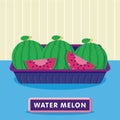 Watermelon on the plastic food packaging tray wrapped with polyethylene. Vector illustration Royalty Free Stock Photo