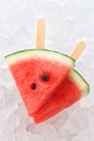 Watermelon popsicle yummy fresh summer fruit sweet dessert