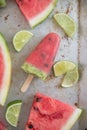 Watermelon popsicles with fresh melon slices Royalty Free Stock Photo