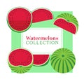 Watermelon poster concept