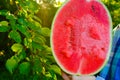 Watermelon pulp.Watermelon in a cut in male hands in a summer garden in the rays of the sun.Fresh red watermelon half Royalty Free Stock Photo