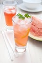 Watermelon punch Royalty Free Stock Photo