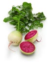 Watermelon radish, chinese red meat radish