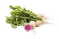 Watermelon Radish Royalty Free Stock Photo