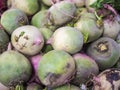 Watermelon radish Royalty Free Stock Photo