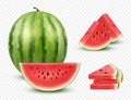 Watermelon realistic. Collection slices healthy natural berry watermelon fruit decent vector illustration isolated on