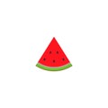 Watermelon realistic icon. vector symbol on white