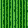 Watermelon realistic texture seamless pattern. Green stripes watermelon background