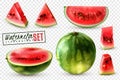Watermelon Realistic Transparent Set