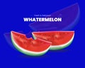 Watermelon realistic vector design concept