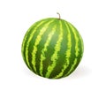 Watermelon realistic vector illustration.