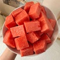 Watermelon, red watermelon, yellow watermelon, smooth green rind