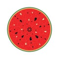 Watermelon round slice vector icon vector