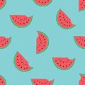 Watermelon Seamless Pattern hand drawn. Vector Illustration Royalty Free Stock Photo