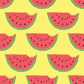 Watermelon Seamless Pattern hand drawn. Vector Illustration Royalty Free Stock Photo