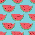 Watermelon Seamless Pattern hand drawn. Vector Illustration Royalty Free Stock Photo