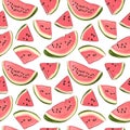 Watermelon seamless pattern. Hand drawn watermelon slice and seeds. Vector illustration for textile, paper and other Royalty Free Stock Photo