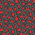Watermelon Seamless Pattern hand drawn. Vector Illustration Royalty Free Stock Photo
