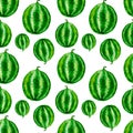 4003 Watermelon Seamless Watercolor Pattern Design Tracery Texture Wallpaper Green