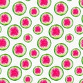 4004 Watermelon Seamless Watercolor Pattern Design Tracery Texture Wallpaper Green Pink