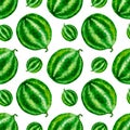 4002 Watermelon Seamless Watercolor Pattern Design Tracery Texture Wallpaper Green