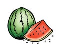 Watermelon and seeds