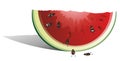 Watermelon with seeds Royalty Free Stock Photo