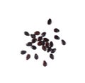 Watermelon Seeds, Water Melon Black Seed Pile, Small Black Kernels