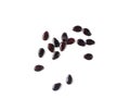 Watermelon Seeds, Water Melon Black Seed Pile, Small Black Kernels