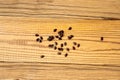 Watermelon Seeds, Water Melon Black Seed Pile, Small Black Kernels