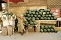 Watermelon seller cairo egypt Royalty Free Stock Photo