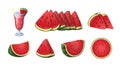 Watermelon set, fresh slices and wedges of summer healthy big berry, ripe red pieces