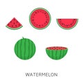 Watermelon set vector illustration