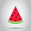 Watermelon sign vector icon. Ripe fruit illustration. Business c