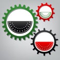 Watermelon sign. Vector. Three connected gears with icons at grayish background.. Illustration.