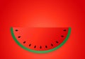 Watermelon slice background with seed and skin texture