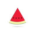 Watermelon slice cartoon illustration