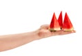watermelon slice in hand Royalty Free Stock Photo