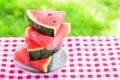 Watermelon slice isolated on green grass background Royalty Free Stock Photo