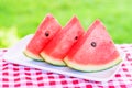 Watermelon slice isolated on green grass background Royalty Free Stock Photo