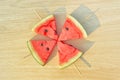 Watermelon slice popsicle yummy fresh summer fruit sweet Royalty Free Stock Photo