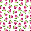 4011 Watermelon Slice Seamless Watercolor Pattern Design Tracery Texture Wallpaper Green Pink