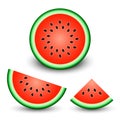 Watermelon slice set, vector realistic isolated illustration in white background. Vector Royalty Free Stock Photo