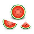 Watermelon slice set, vector realistic isolated illustration in white background Royalty Free Stock Photo