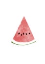 Watermelon Slice Watercolor Illustration