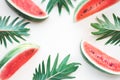 Watermelon slice with xanadu leaves on pastel background.Summer