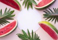 Watermelon slice with xanadu leaves on pastel background